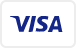 visa payment