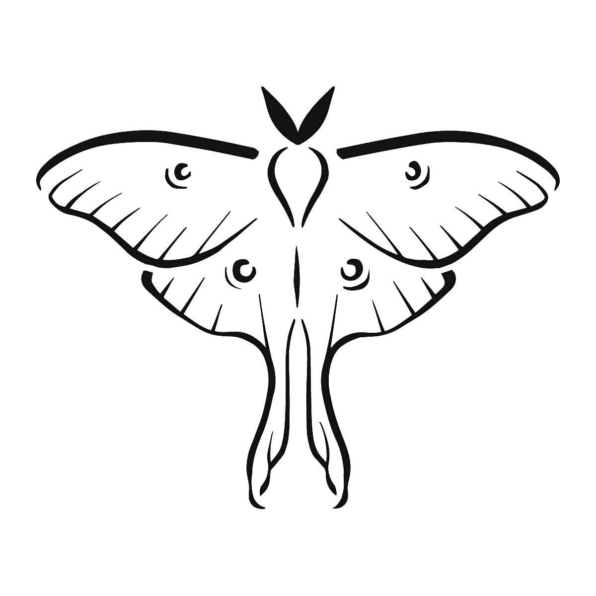 Ideas tattoo - actias 11