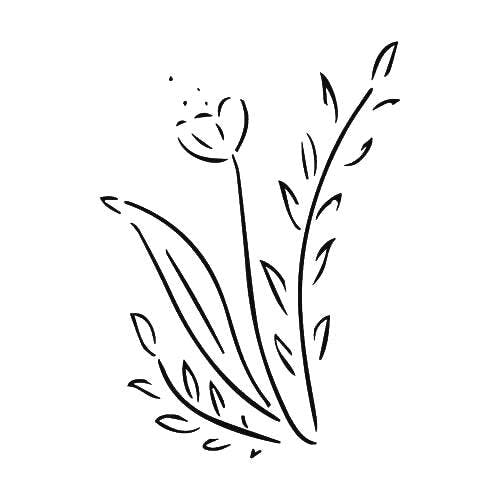 Tattoo ideas guys - chicory 5