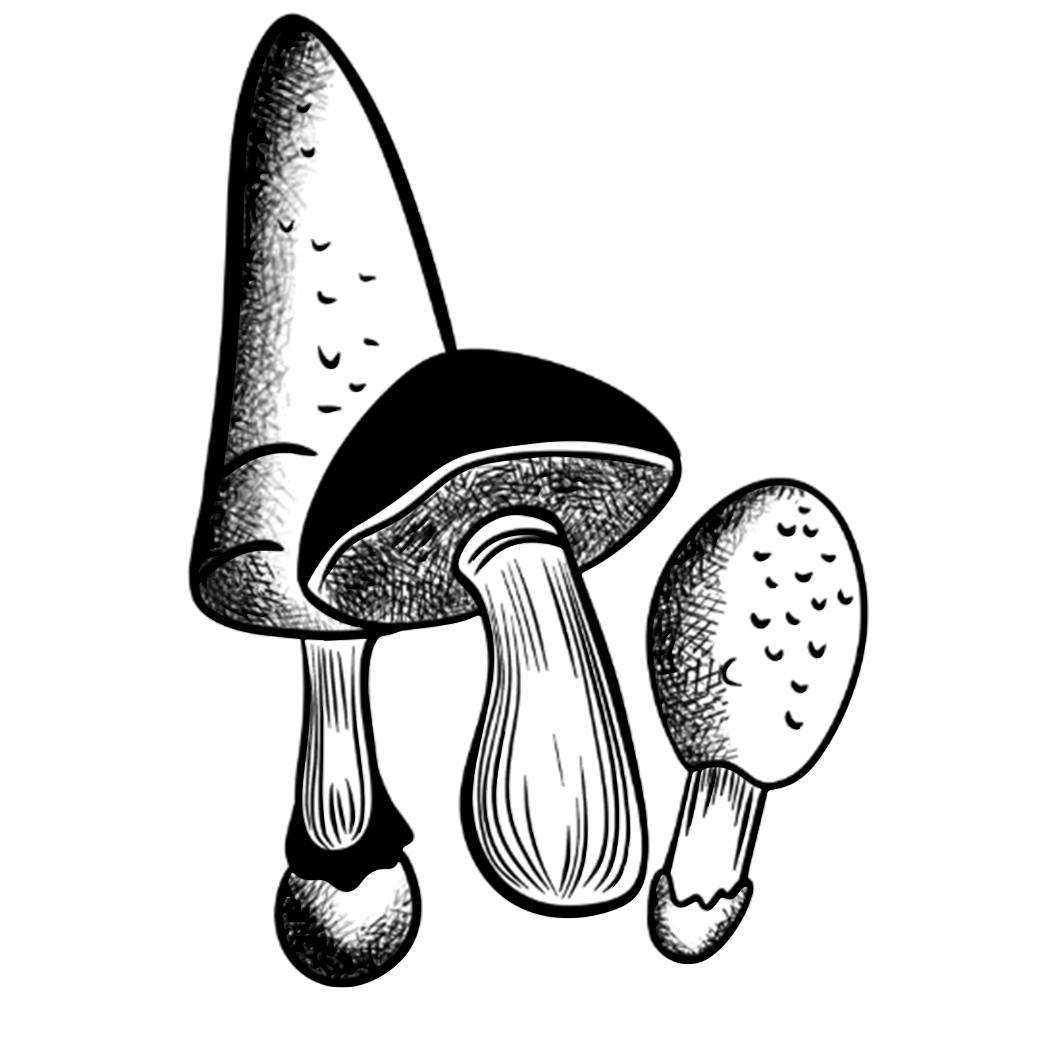 Simple Small Tattoo Ideas - A Trio of Mushrooms 17