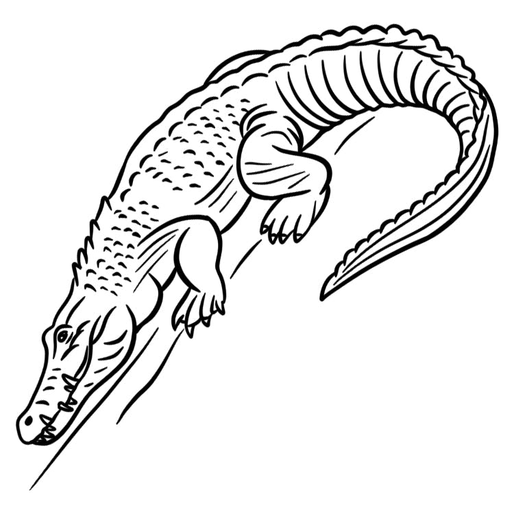 Tattoo designs for women - crocodile tears 5