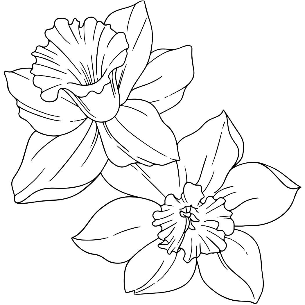 Tattoo Ideas For Men - Delicate Daffodils 17