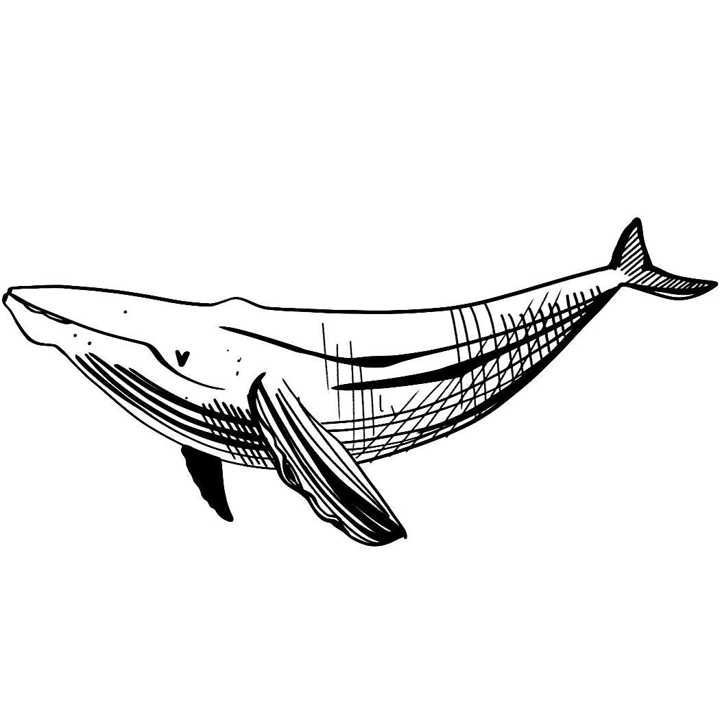 Upper Arm Tattoo Ideas - Baleen 3