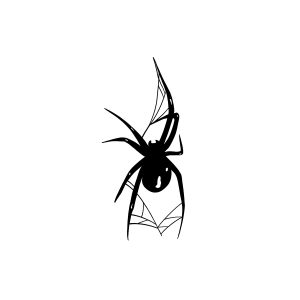 Spider DC-SHY-BB146