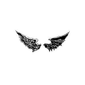 Angel And Demon Wings