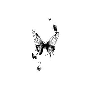 Butterfly DC-SHY-JB136