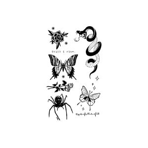 Snake Rose Spider Butterfly