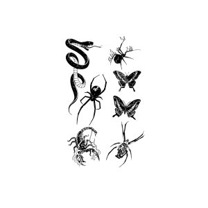 Scorpion Insect Spider Snake