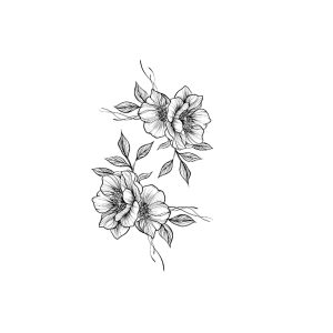 Blooming Flowers Leaves