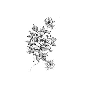 Three Blooming Roses