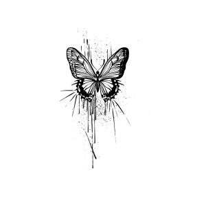 Butterfly Water Drops