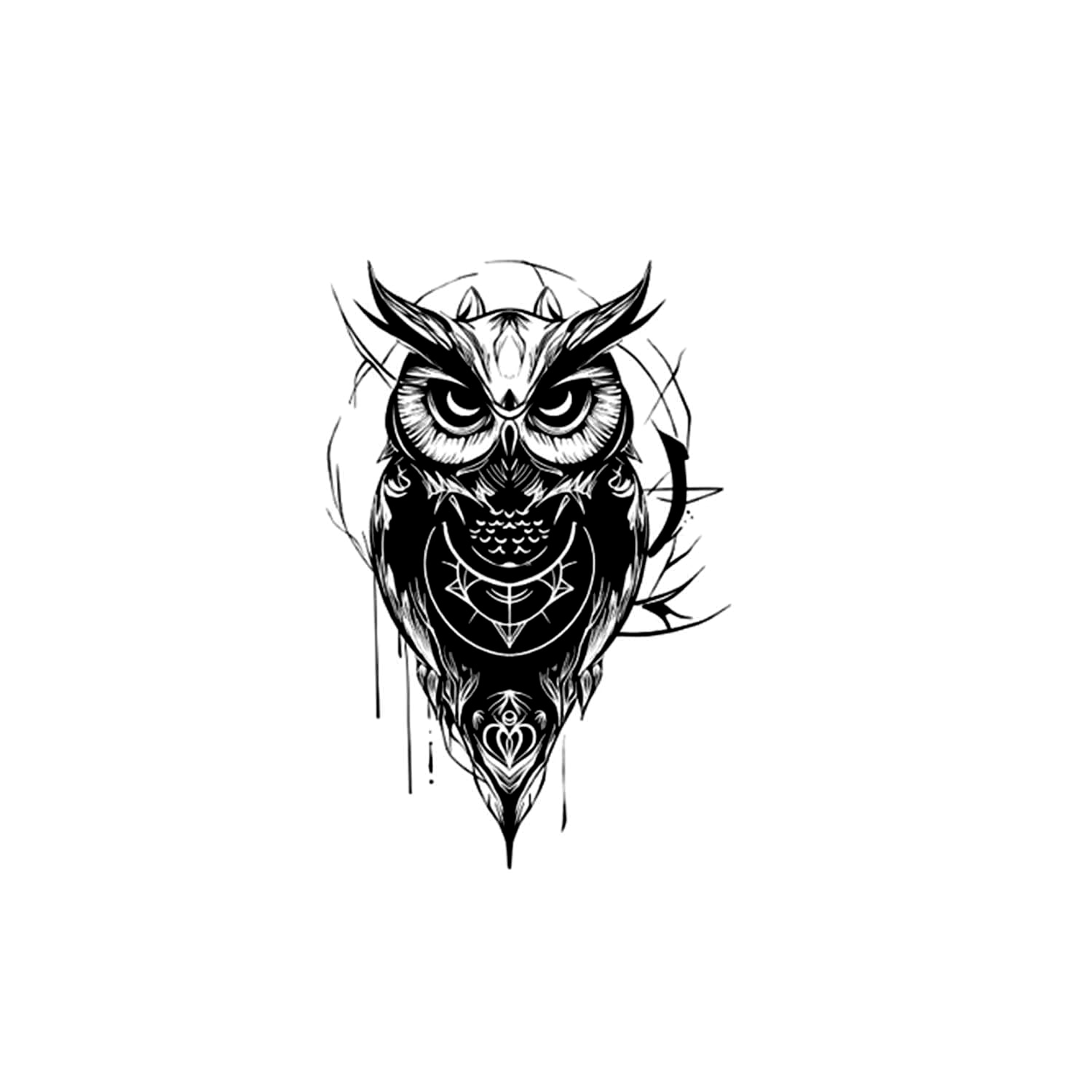 Owl Standing Looking Straight Ahead