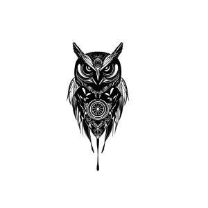 Sci-Fi Owl
