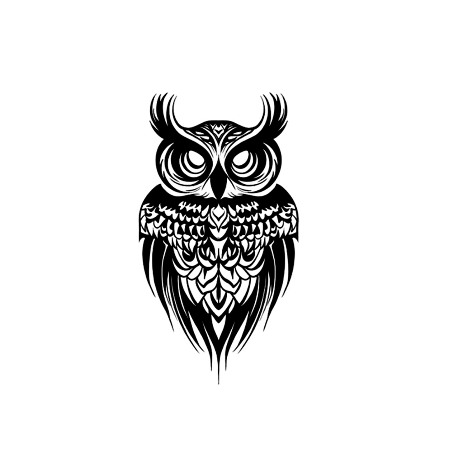 Owl Stare