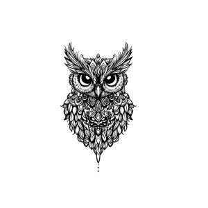 Owl Looking Straight