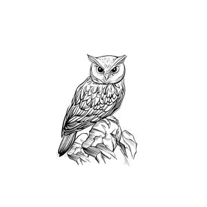Owl On The Stone