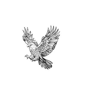 Eagle With Spread Wings