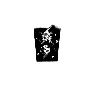 Cherry Blossoms Falling