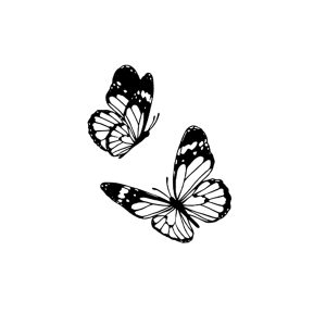 Two Flying Butterflies