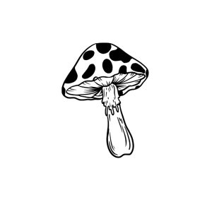 Spotted Mushroom