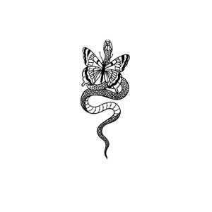 Butterfly Riding A Snake