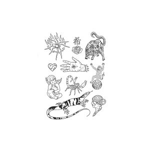 Scorpion Tiger Lizard Spider