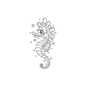 Seahorse HC-BB-526