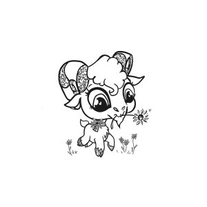 Cute Goat