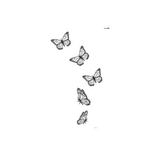 Butterfly HC-BB-658
