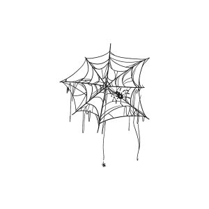 Spider Web Spider