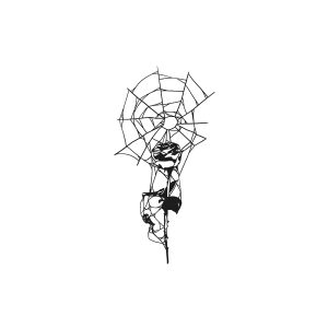 Spider Web Rose