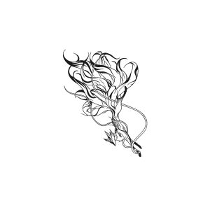 Nine-Tailed Fox HC-BB-756