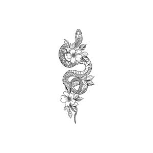 Snake Flower HC-BB-813