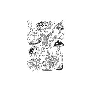 Frog Goldfish Snail Key