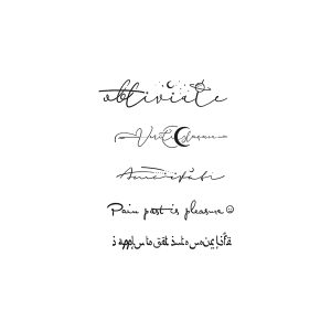 Moon English Phrases