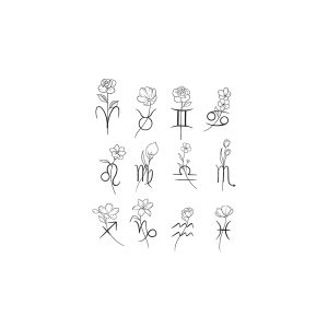Flowers Of The Twelve Zodiac Signs