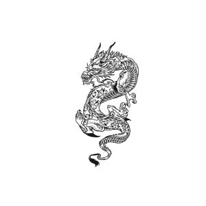Traditional Dragon HC-HC-207