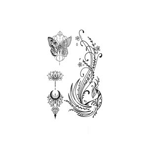 Butterfly Lotus Peacock Moon