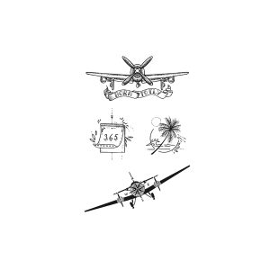 Aircraft Coconut Tree Log