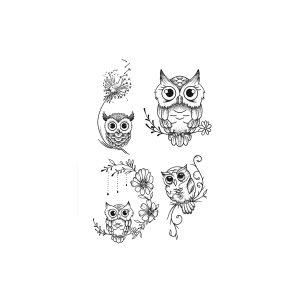 Owl HC-HC-312
