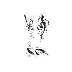 Butterfly Ink Writing