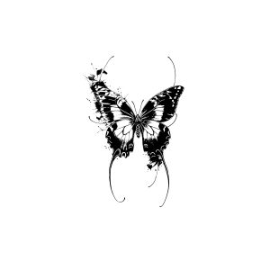 Butterfly HC-HD-010