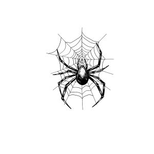 Spider HC-HD-112