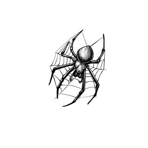 Spider HC-HD-116
