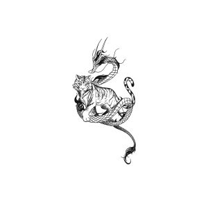 Dragon Tiger