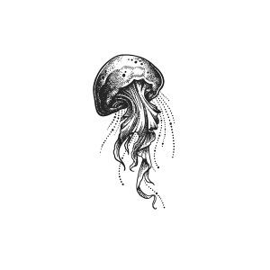 Jellyfish HC-KT-38