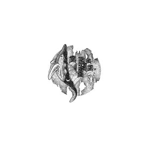 Baleen Whale Sailing