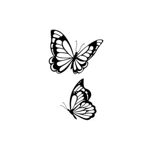 Two Flying Butterflies SS-CB-C-001