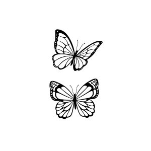 Two Flying Butterflies SS-CB-C-003