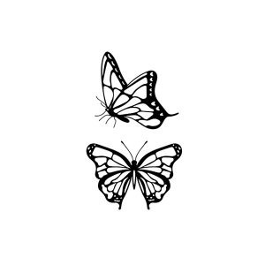 Two Flying Butterflies SS-CB-C-006